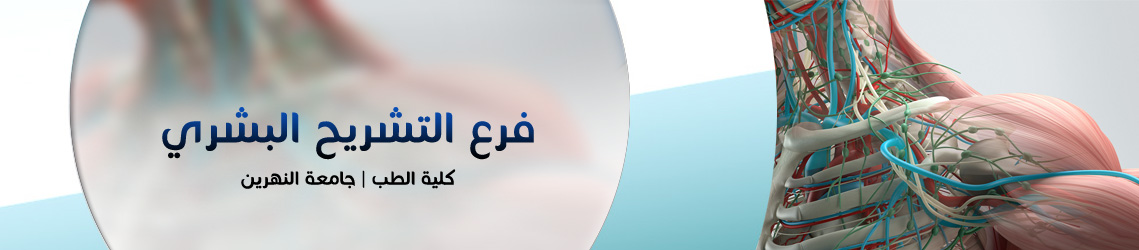 فرع التشريح البشري