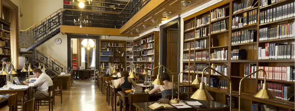 الهيكل الإداري