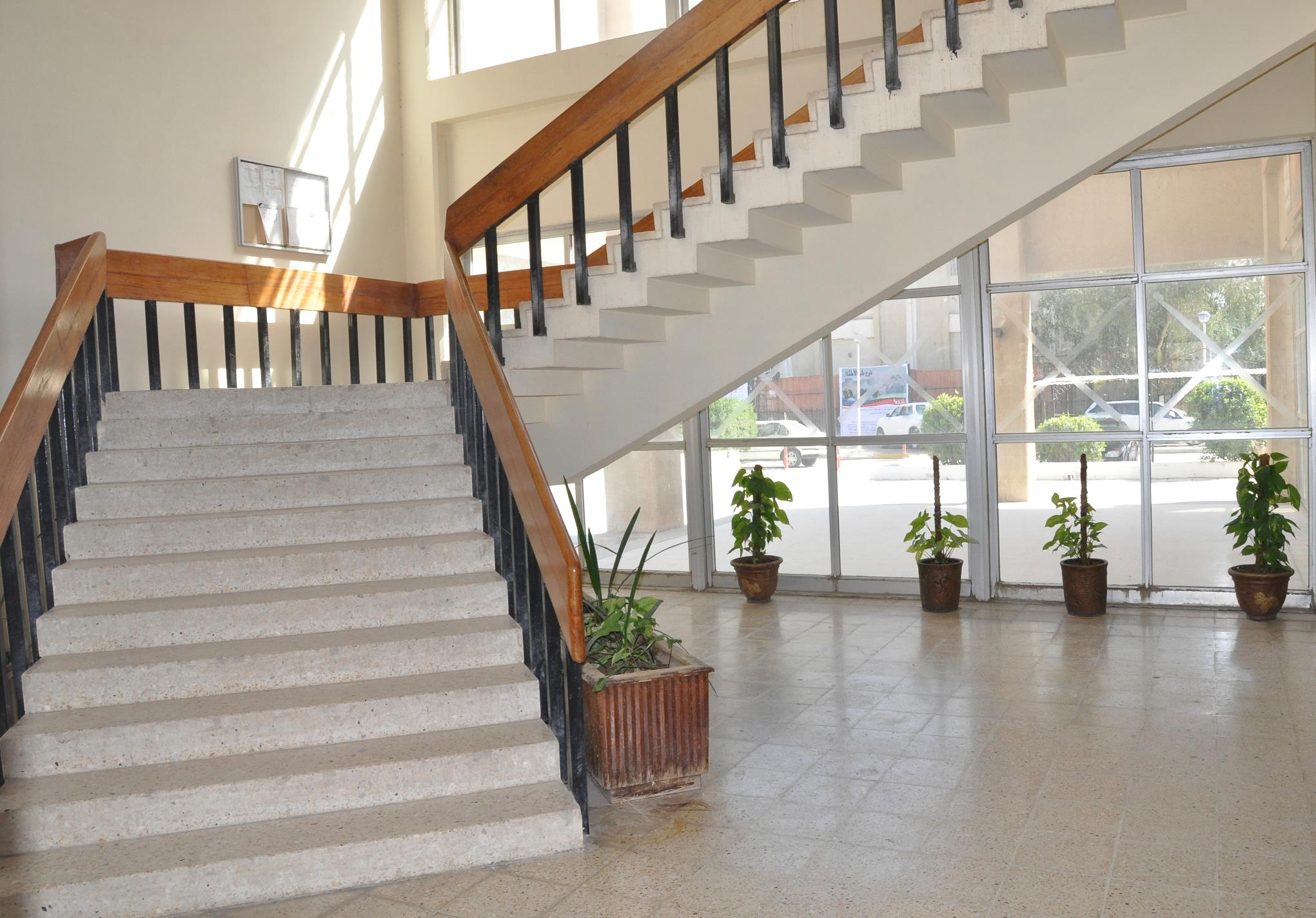 المكتبة المركزية