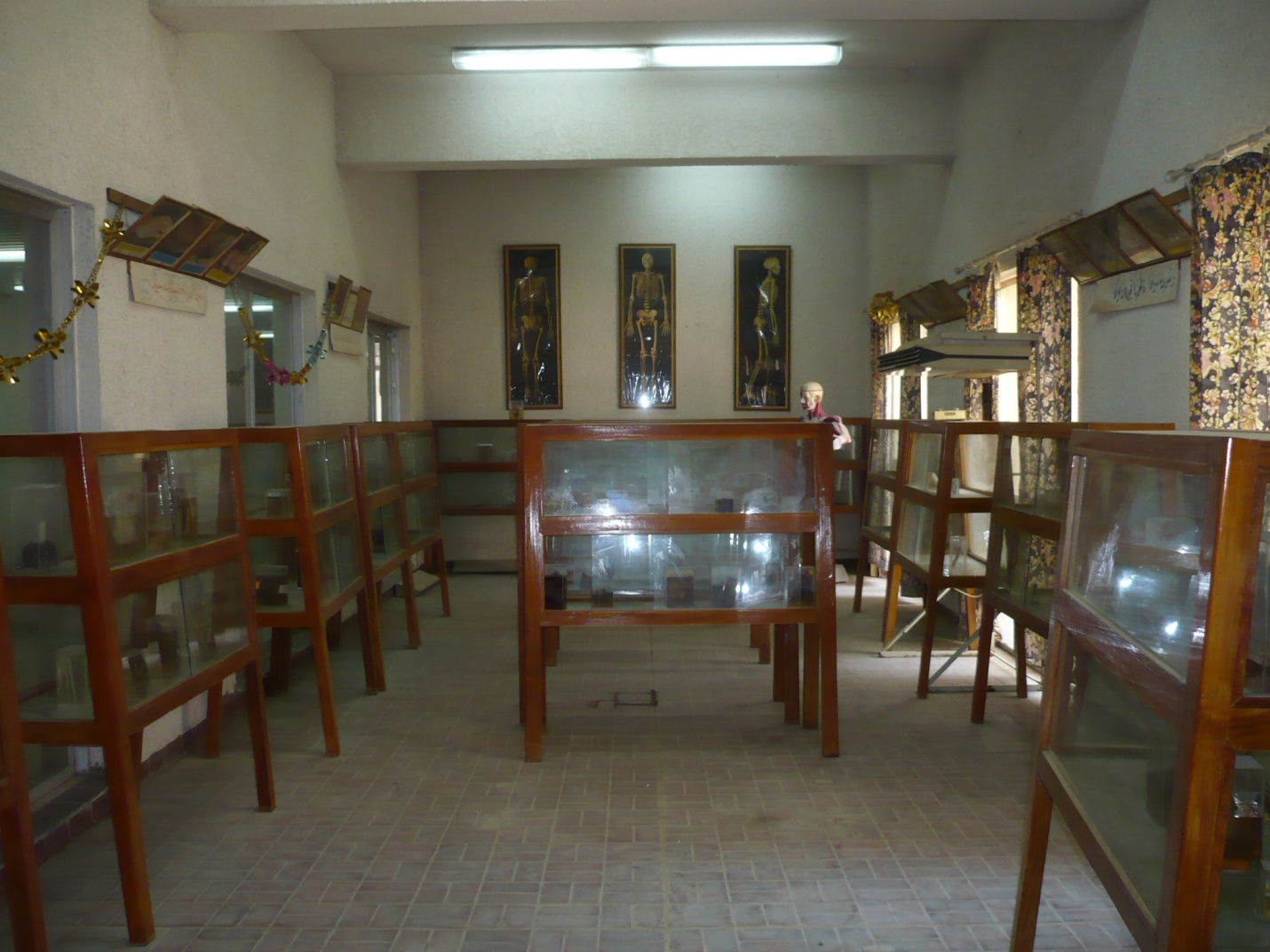 مختبر التشريح