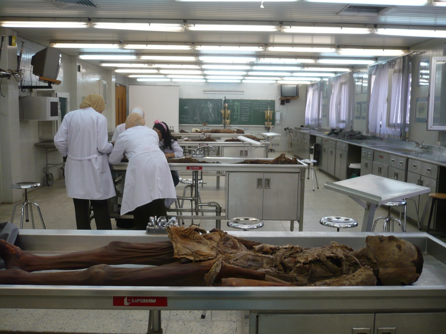 صور مختبر التشريح