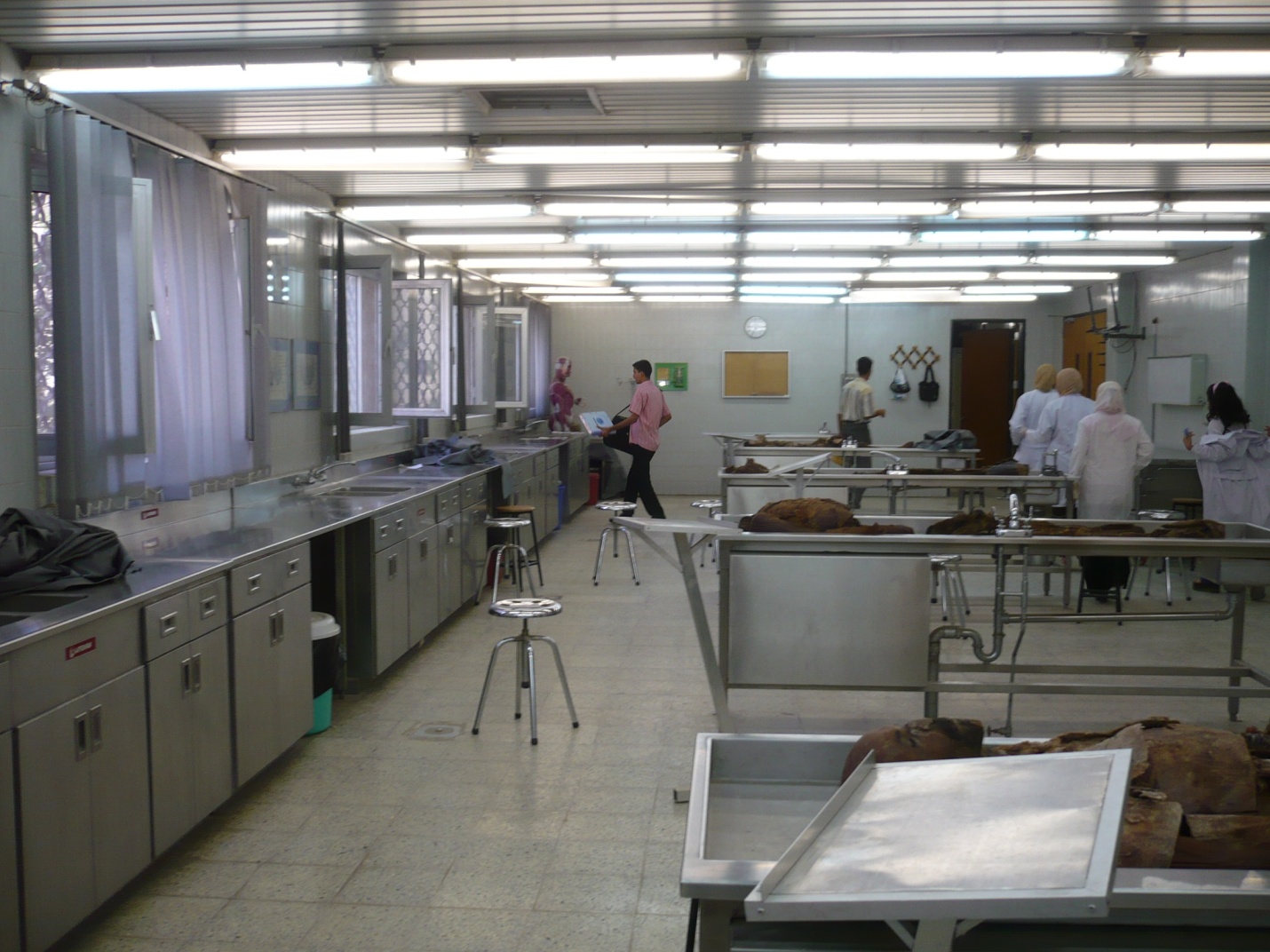 صور مختبر التشريح