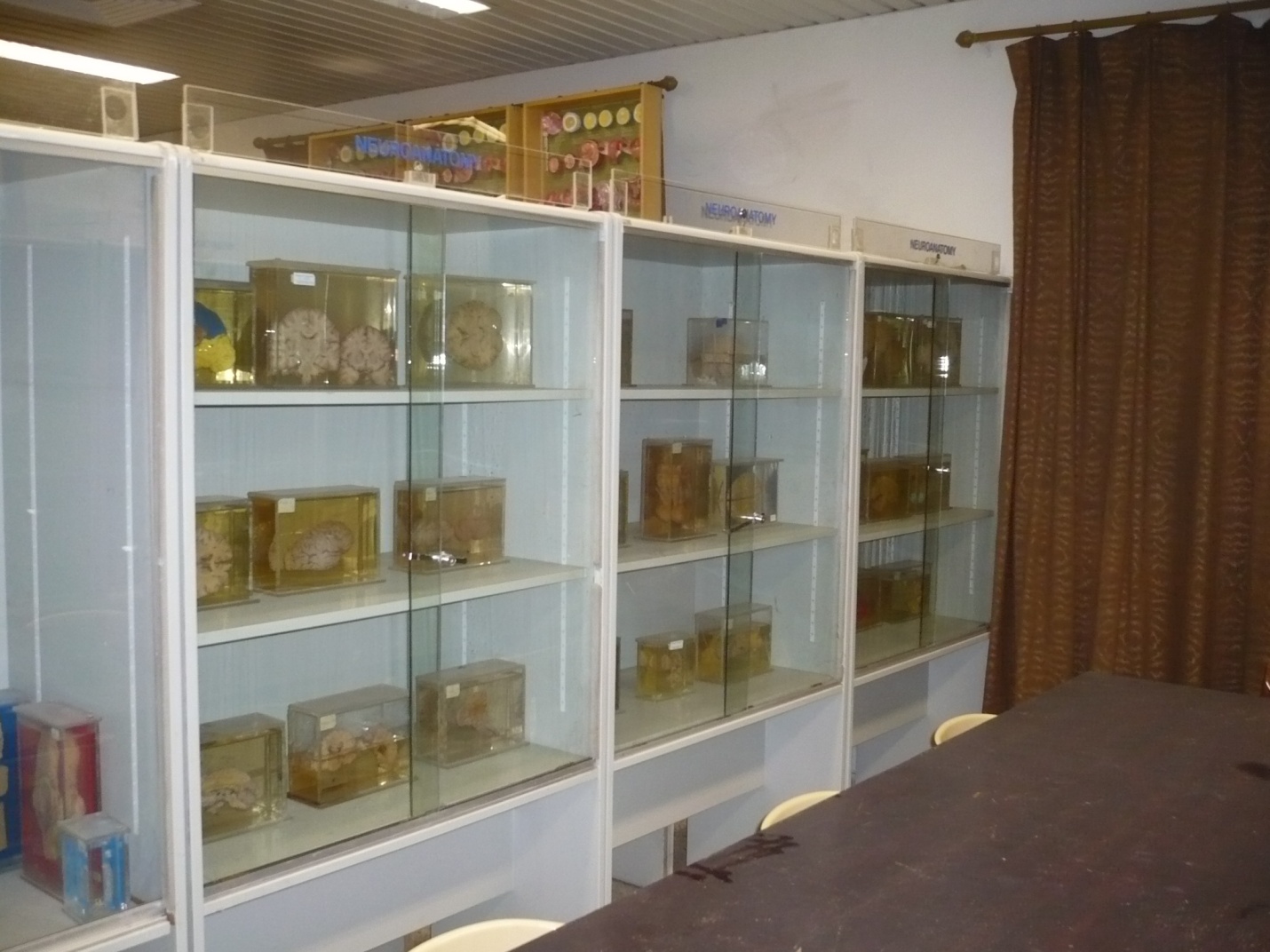 صور مختبر التشريح