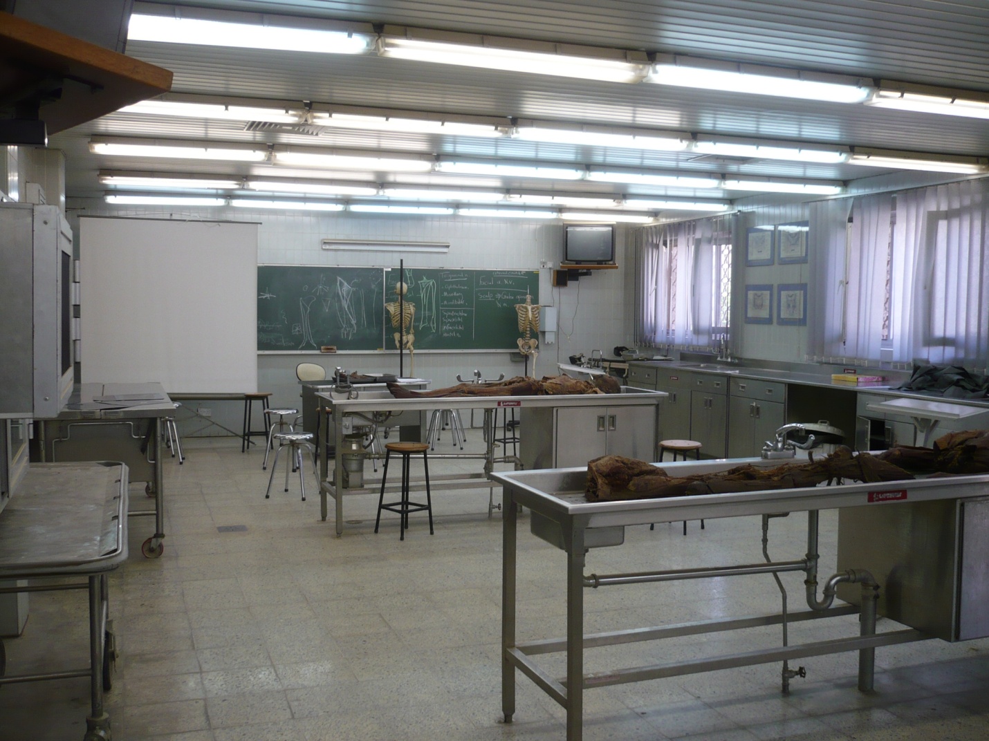 صور مختبر التشريح