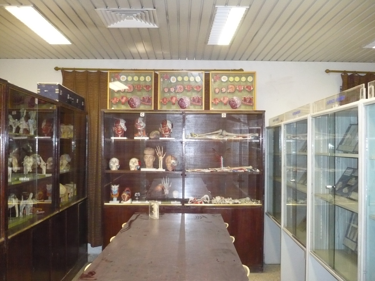 صور مختبر التشريح