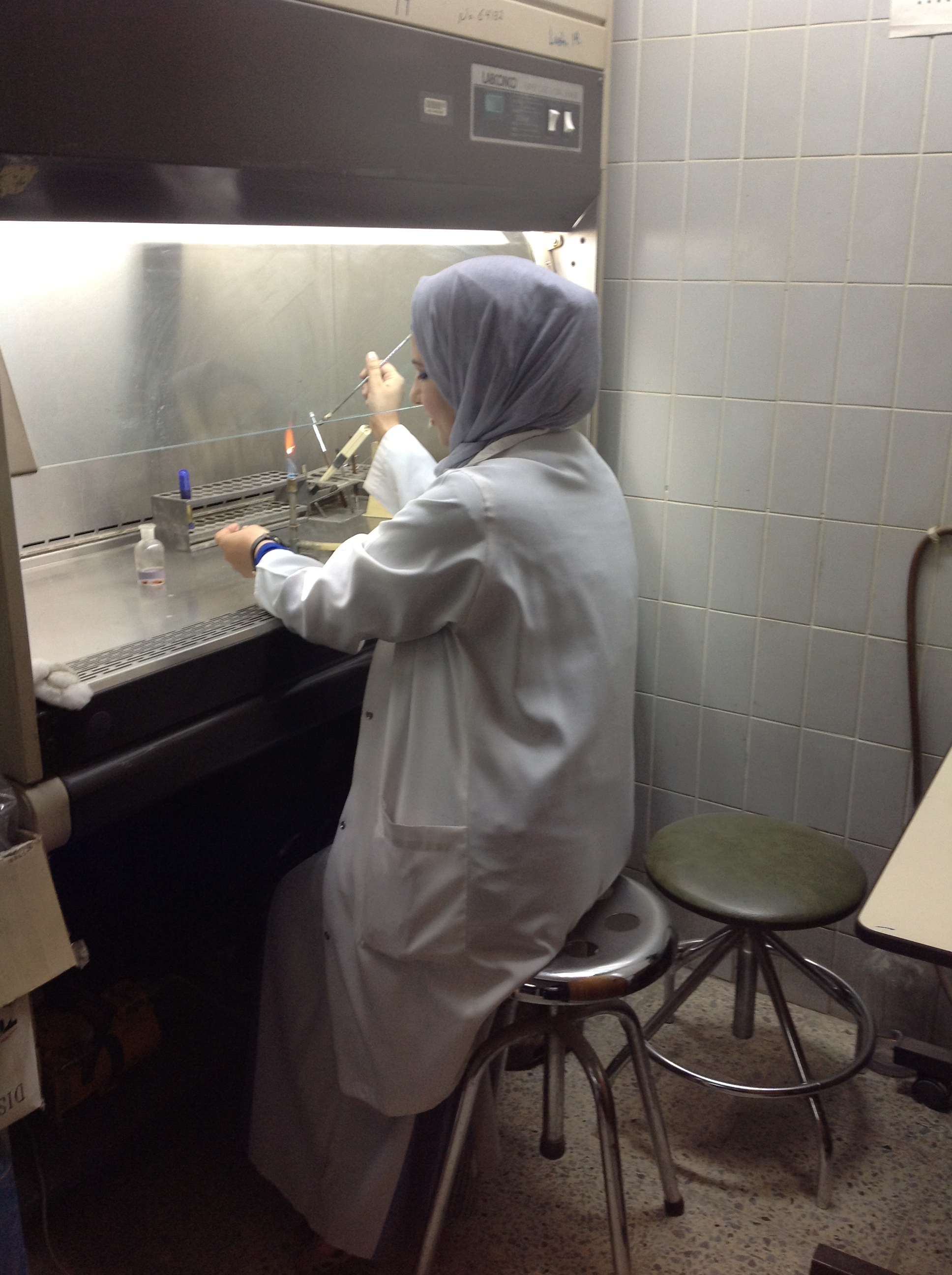 وحدة البحوث الطبية