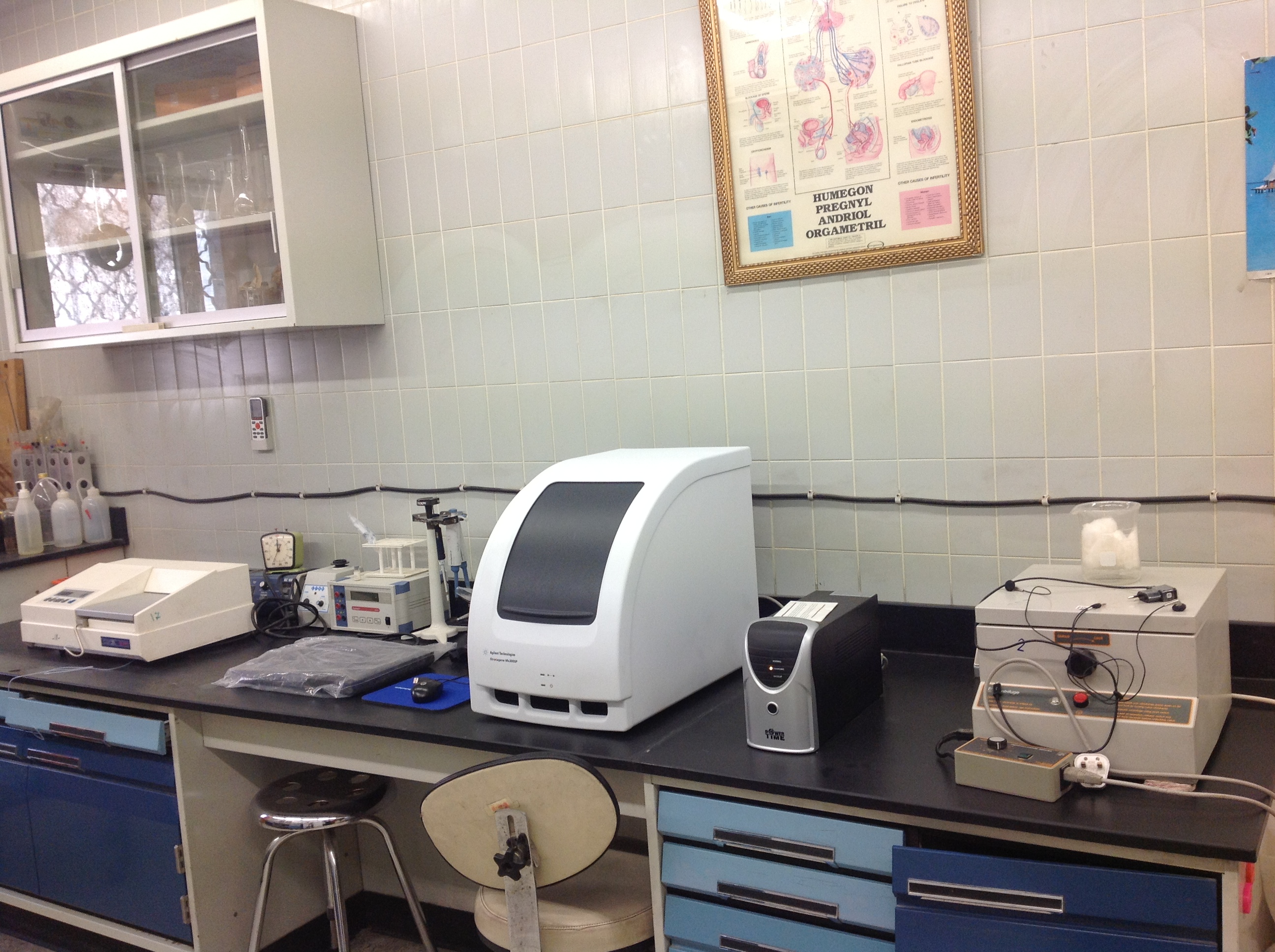 وحدة البحوث الطبية