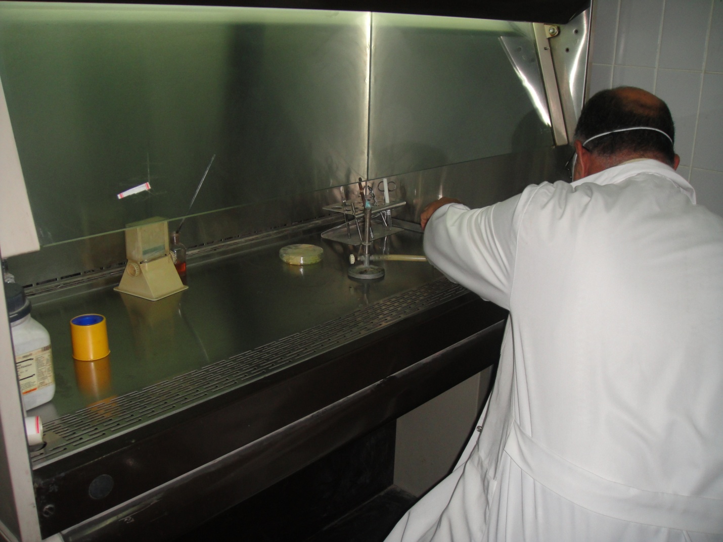 وحدة البحوث الطبية