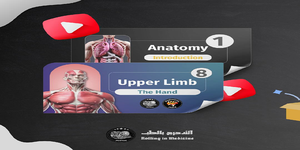إنشاء قناة تعليمية على منصة اليوتيوب