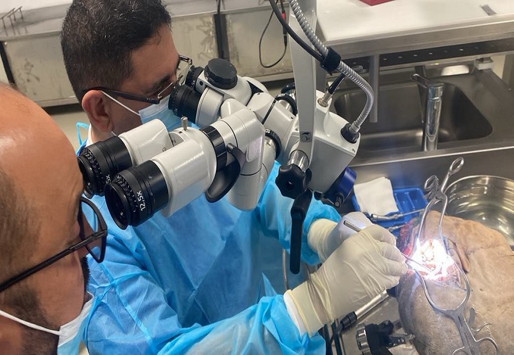 مشاركة الأستاذ الدكتور إحسان صبحي البلداوي في ورشة عمل حول جراحة قاعدة الجمجمة في عمان