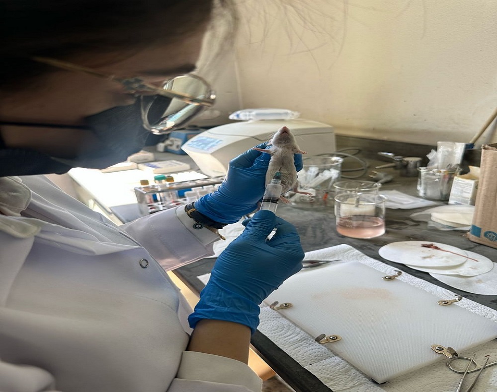 فرع علم الأدوية في كلية طب النهرين يواصل جهوده البحثية في تطوير علاجات جديدة لأمراض مزمنة