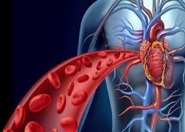 فرع الطب الباطني يقيم محاضرة علمية حول مرض ارتفاع ضغط الدم الشرياني